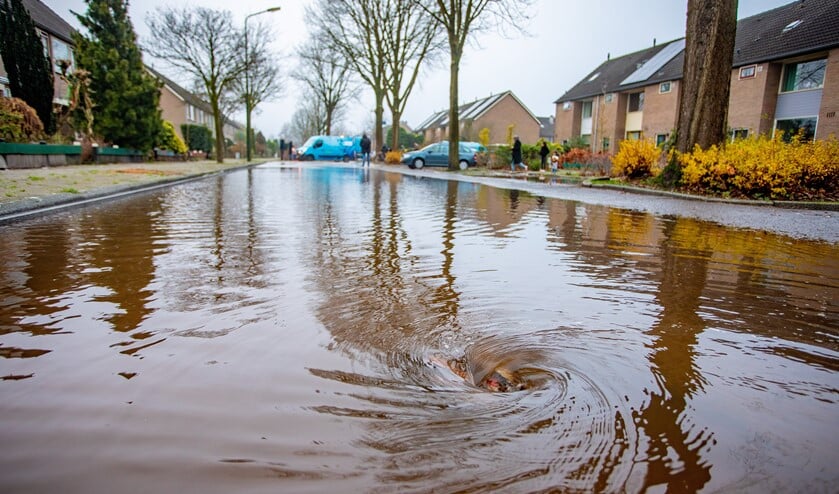 <p>De Bakboord stond vanmiddag blank vanwege een gesprongen waterleiding.</p>