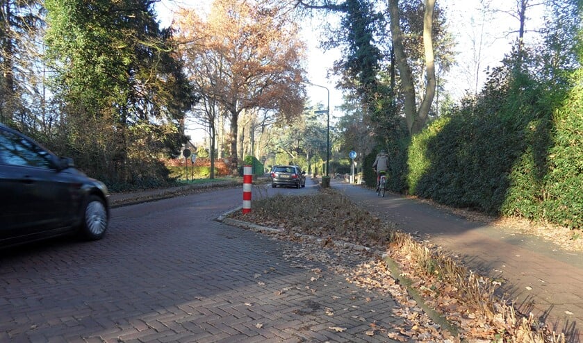De Naarderweg in Blaricum.