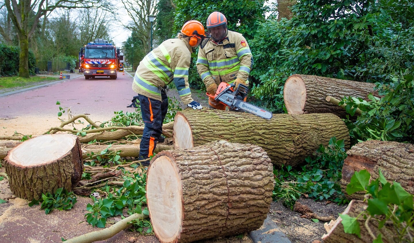 Een omgewaaide boom leverde gedoe op op de Schapendrift in Blaricum.