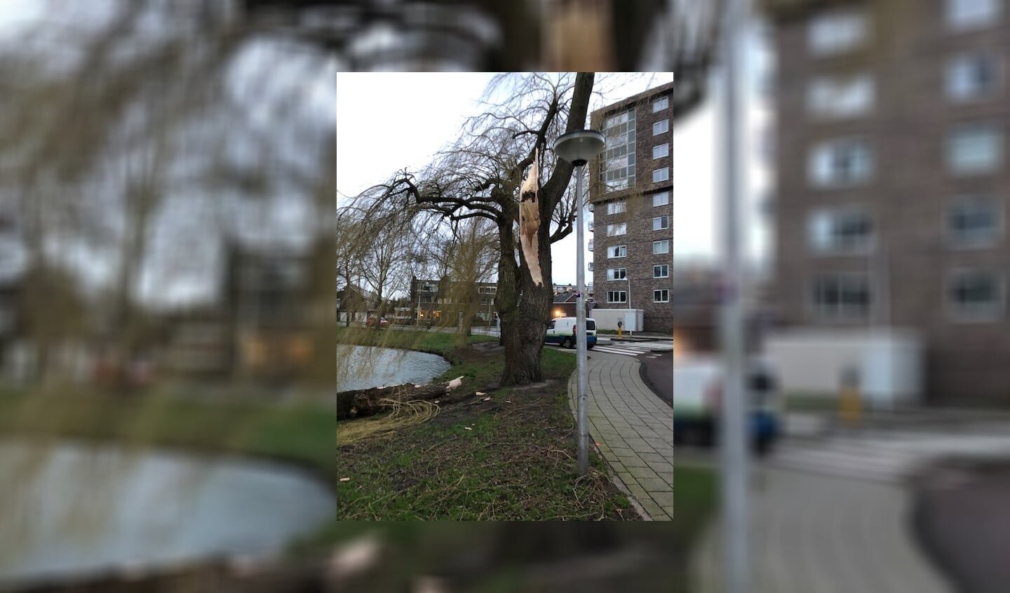 Afbeelding