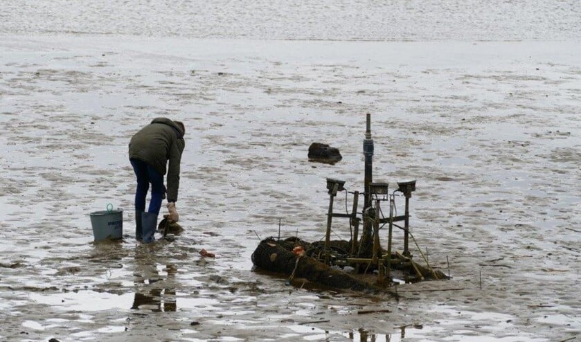 Bram redt vissen die op het droge zijn gekomen door de harde wind.