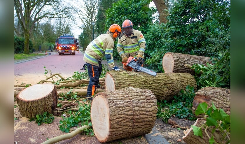 Overal in 't Gooi waren bomen omgewaaid.