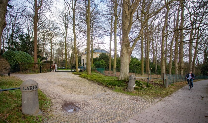 Deze bomen langs de Naarderstraat gaan binnenkort tegen de vlakte.