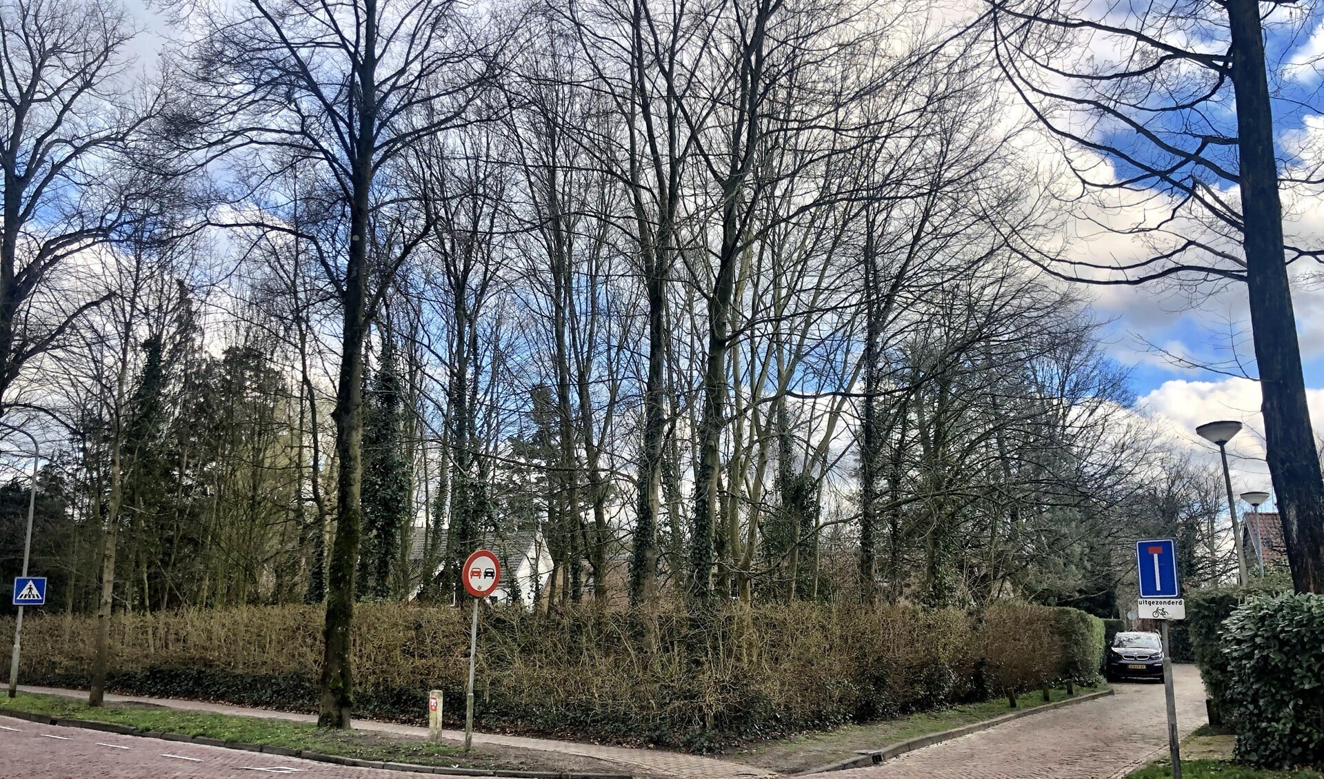 Het stukje gemeentegrond tegenover de speelplaats van basisschool St. Jan-De Binckhorst.