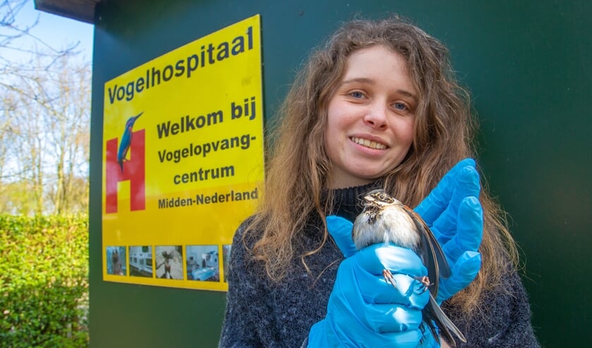 Medewerkers van het vogelhospitaal kunnen weer doen wat zij maanden niet meer konden.