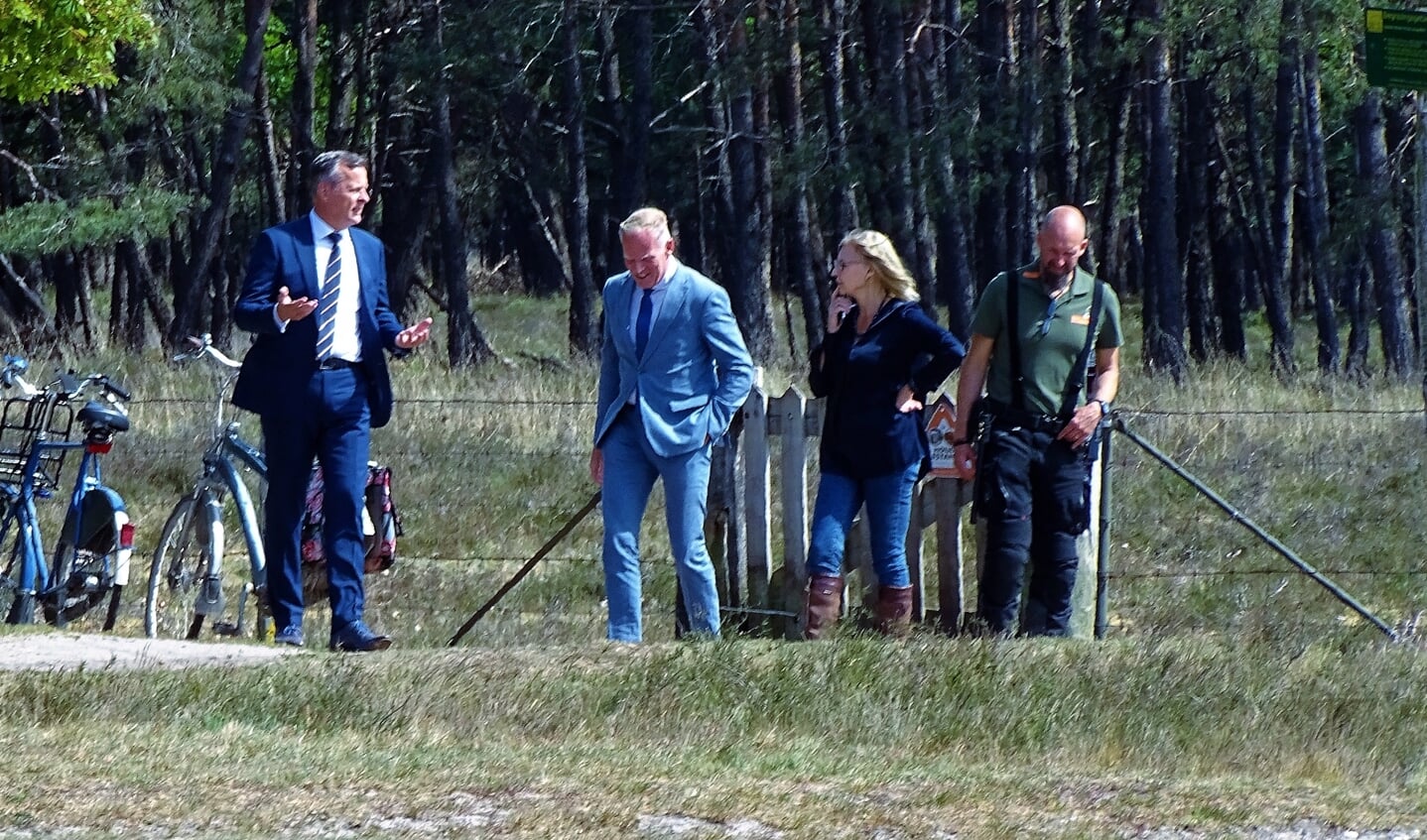 Op de heide van Goois Natuurreservaat.