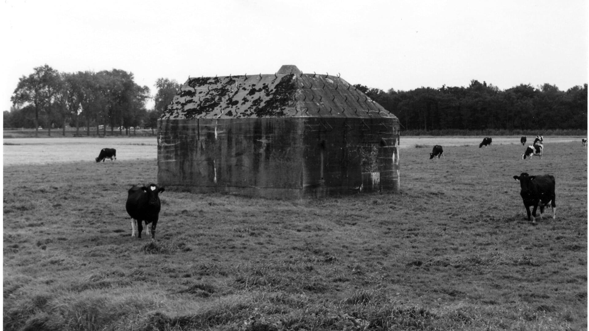 Bunkers langs de Vecht uit WOII.
