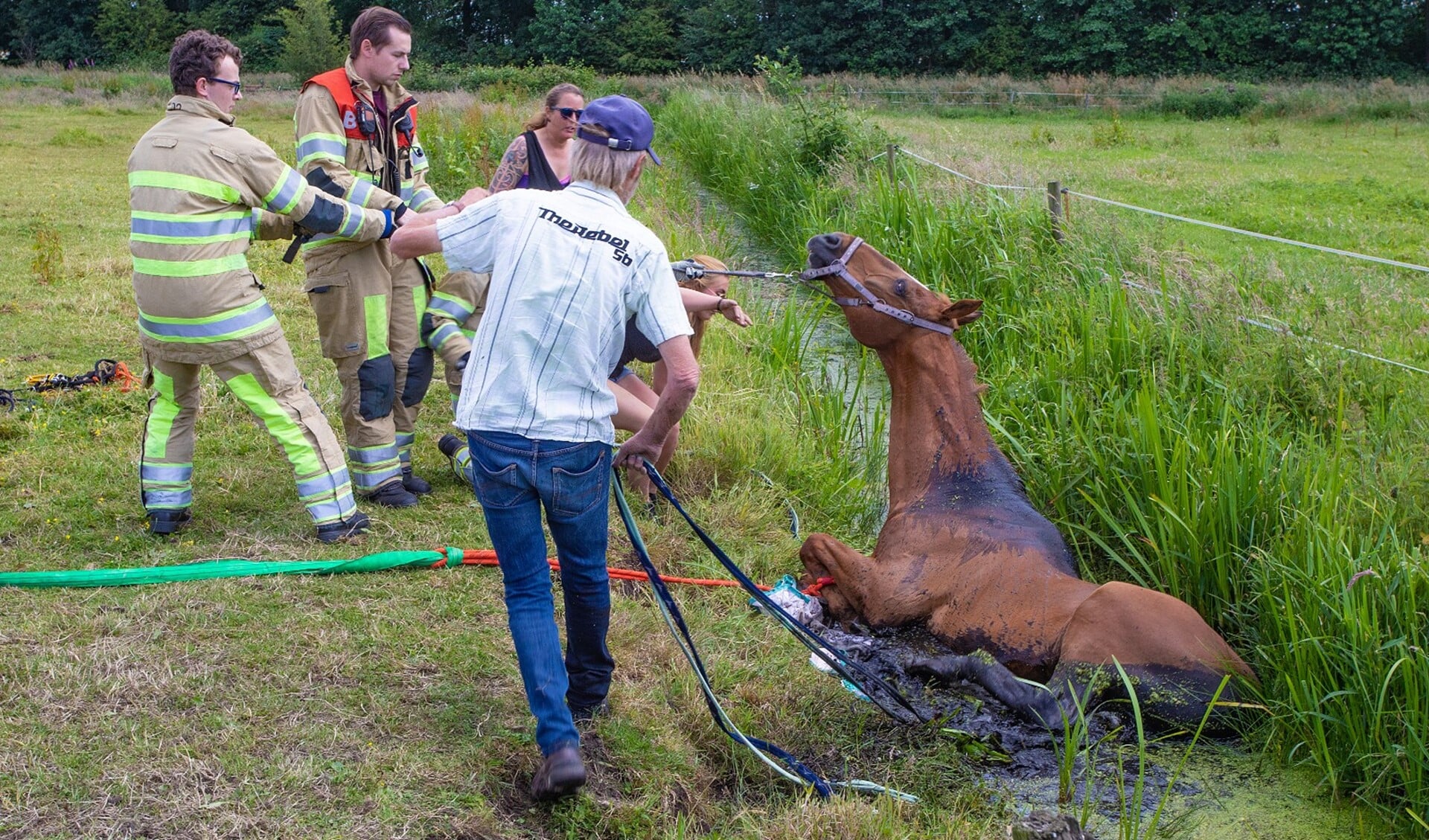 De brandweer helpt het paard uit de sloot te halen.