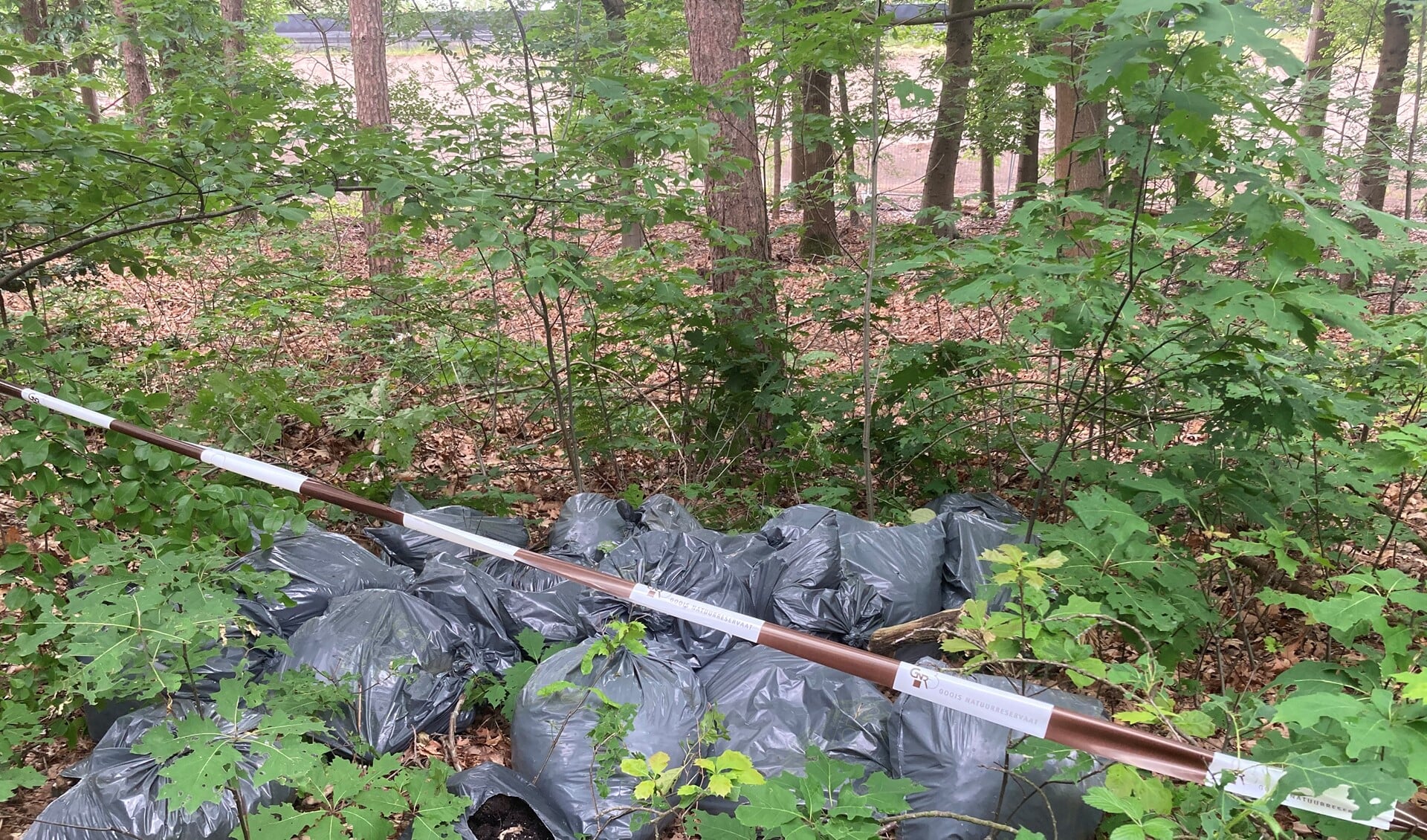 Stapels met vuilniszakken worden er onder andere aangetroffen door de boswachters.