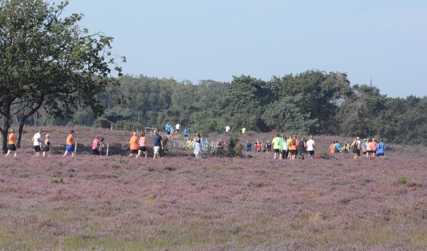 <p>Tijdens de Gooise Heideloop in 2019.</p>