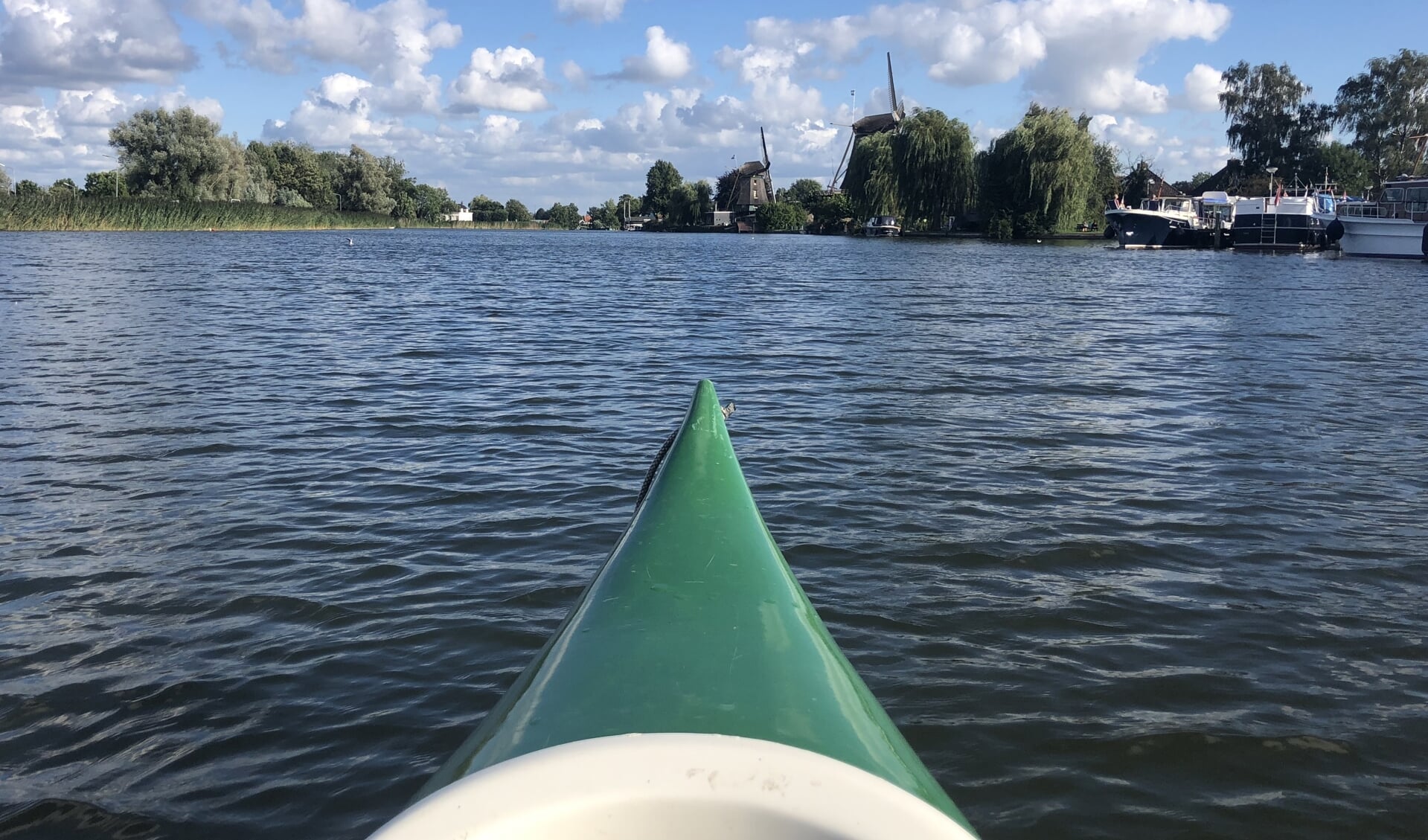 Groen water? Niet gevaarlijk.