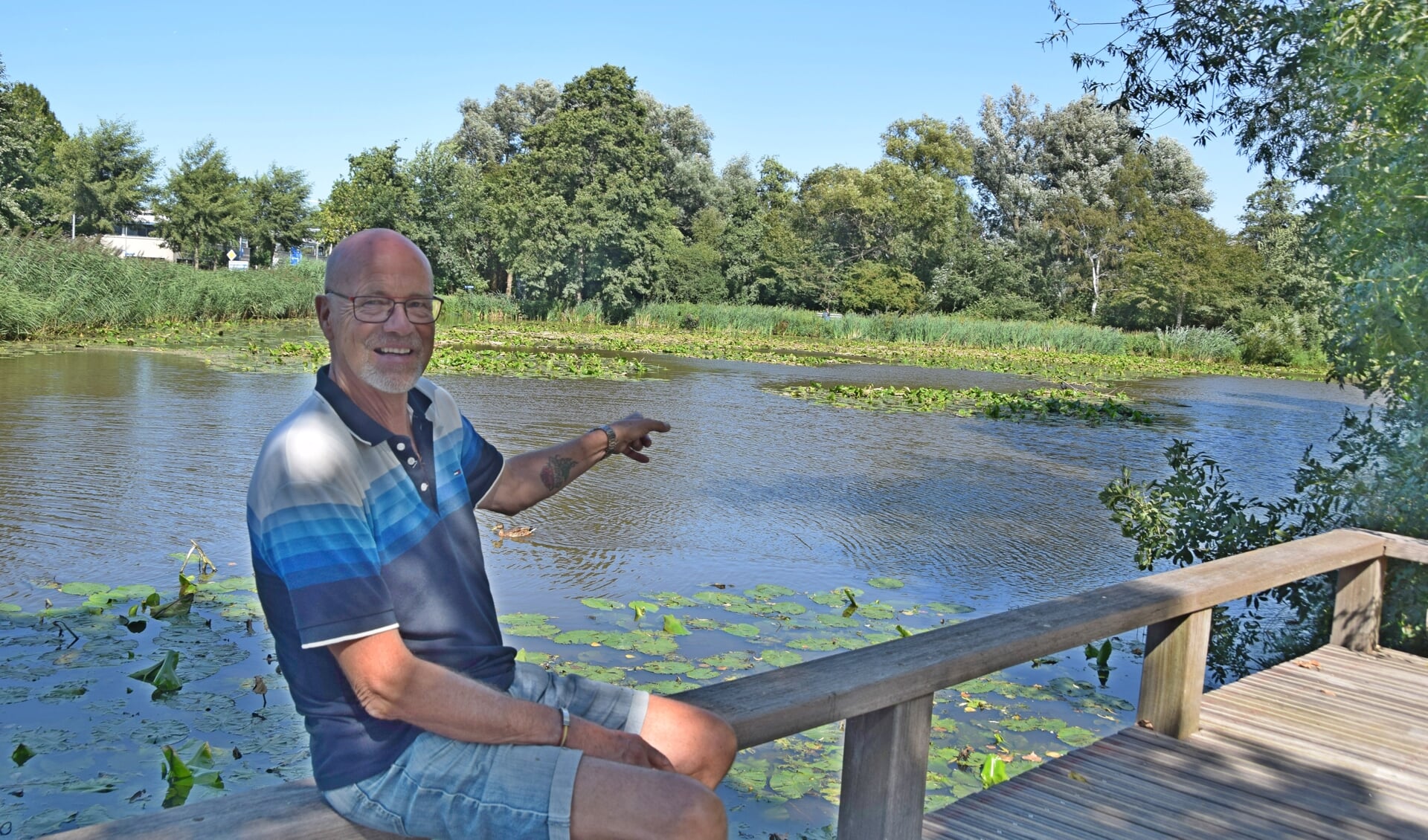 Ton Dalmulder wijst naar de begroeiing op de Trifaxvijver.