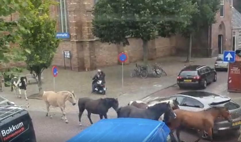 <p>Still uit het filmpje, de video vind je onderaan dit nieuwsbericht. </p>
