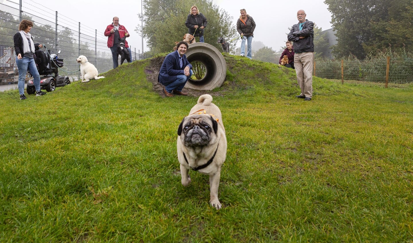 In Diemen werd vorig jaar een hondenspeelplaats geopend, voor Weesp Begroot hoopt een indiener voor hetzelfde in Weesp.