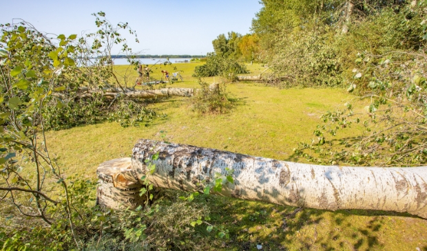 <p>De bomen zijn afgezaagd en de vandaal of vandalen hebben deze laten liggen.</p>