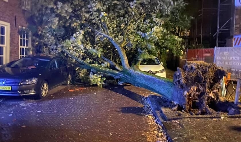 <p>De omgevallen boom raakte minimaal twee auto’s en een woning. </p>