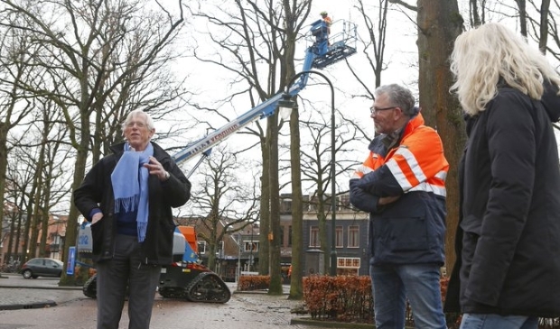 <p>Wethouder Ton Stam neemt een kijkje tijdens de snoeiwerkzaamheden. </p>