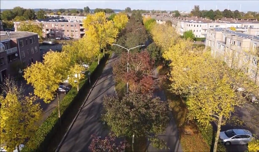 <p>De Bovenmaatweg onthult al de eerste herfskleuren.</p>