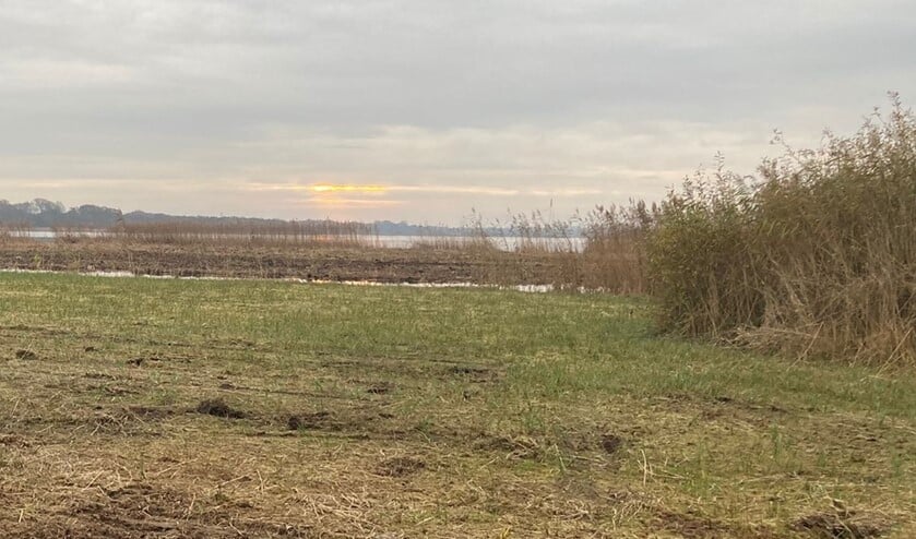 <p>De noordkant van het Naardermeer.</p>