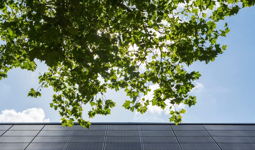 <p>Met de subsidies kunnen vastgoedeigenaren bijvoorbeeld zonnepanelen kopen. </p>
