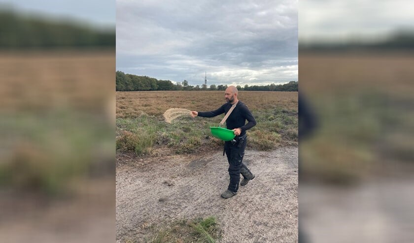 <p>Boswachter Daan Eijben zaait bloemakkertjes in met special zadenmengsel.</p>