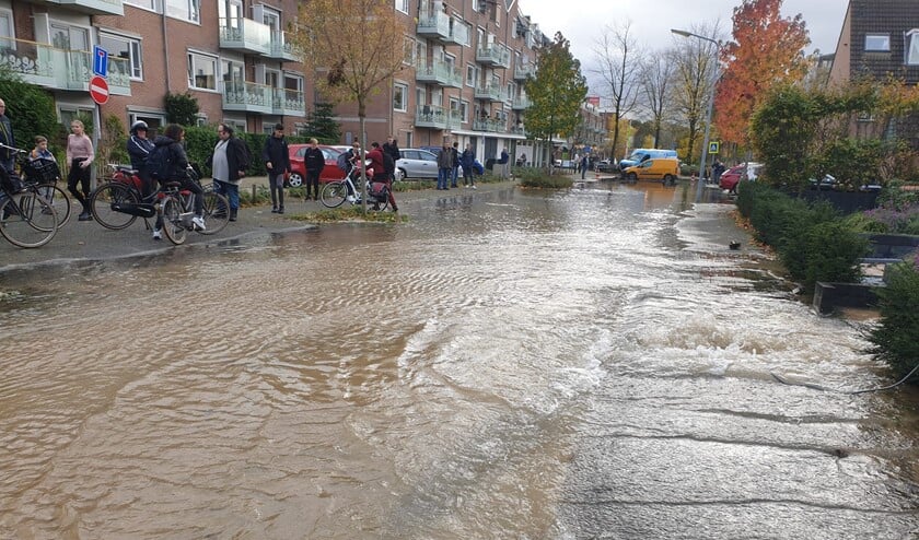 De Monnickskamp staat blank