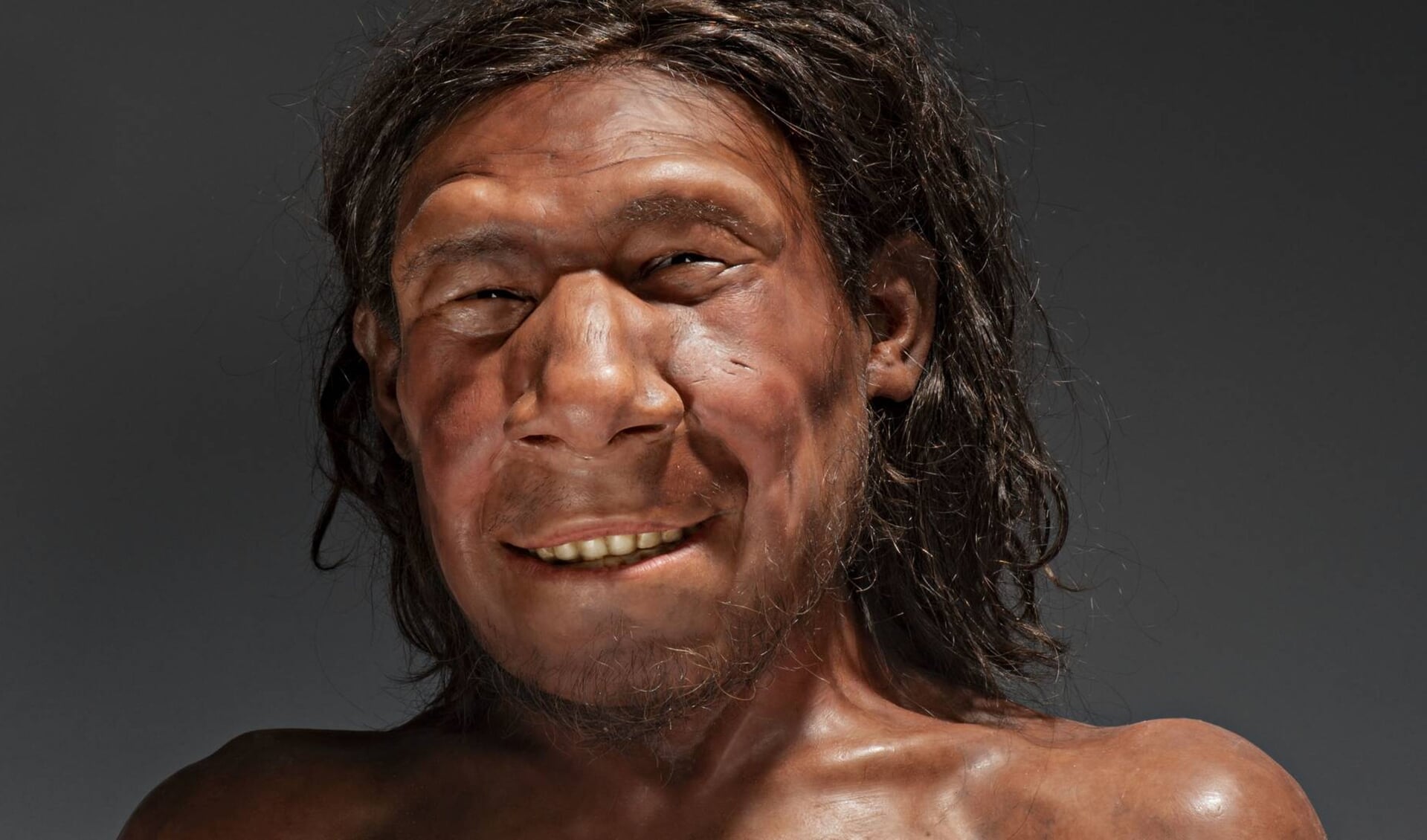 De Neanderthaler Krijn, waarvan een restant voor de Zeeuwse kust werd gevonden, kreeg onlangs een gezicht. 