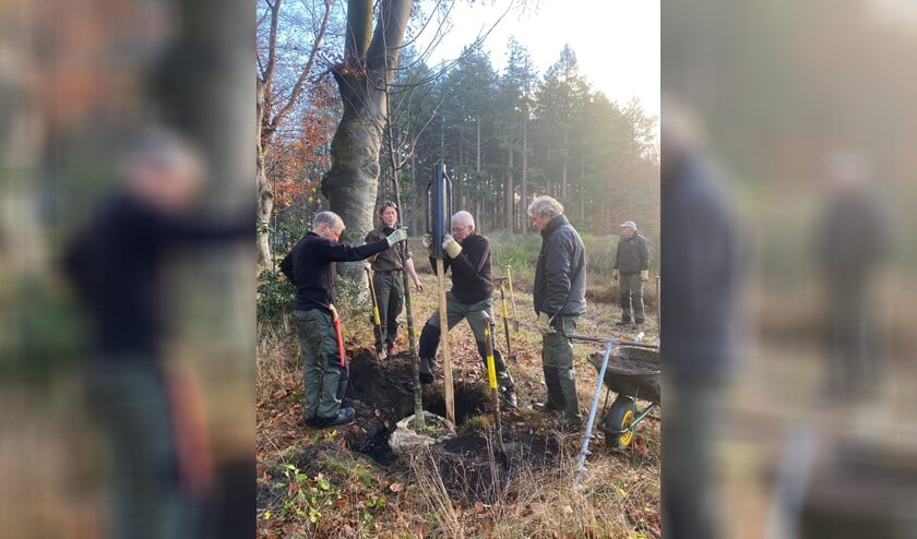 Op de Langerhuizenweg is gewerkt aan het laanherstel.