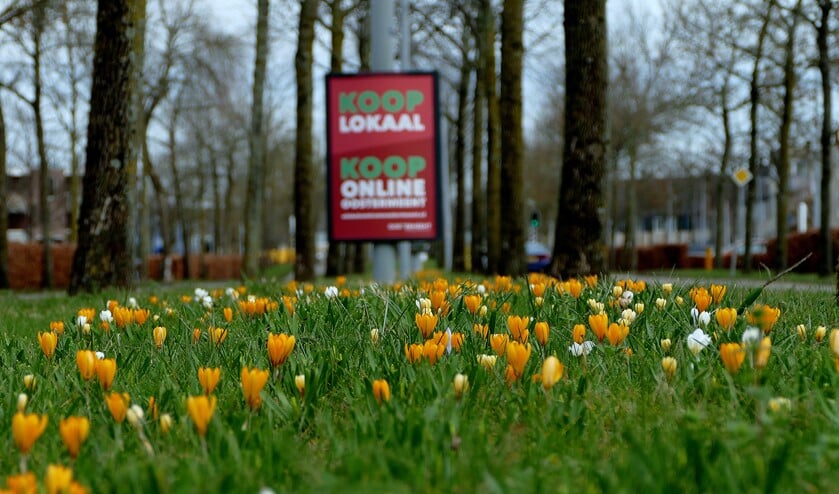 <p>De krokussen schieten de grond uit.</p>