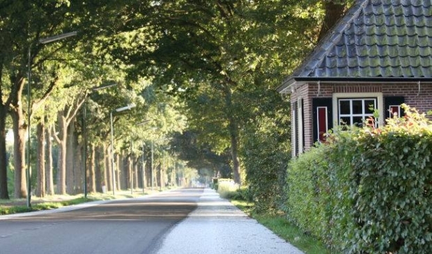 <p>De Wakkerendijk in Eemnes.</p>