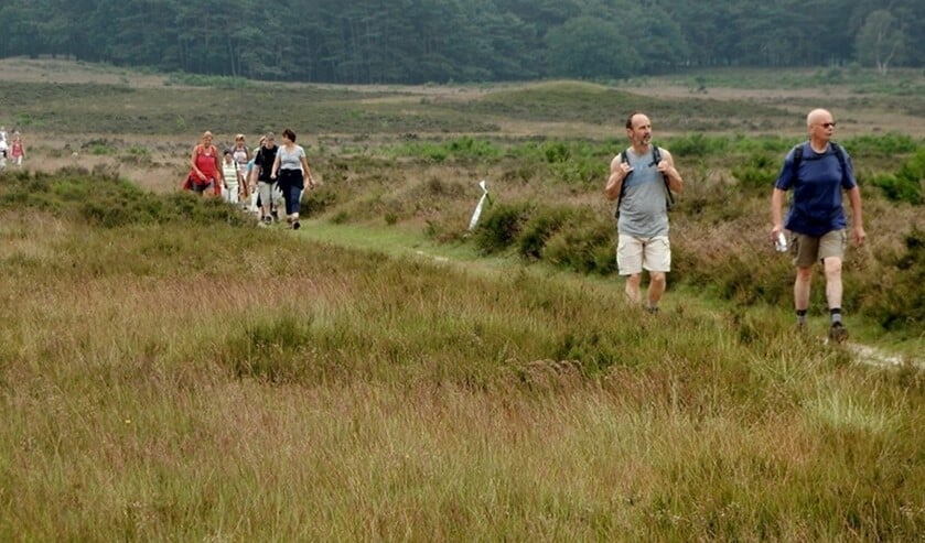 <p>Wandelen over de Westerheide.</p>