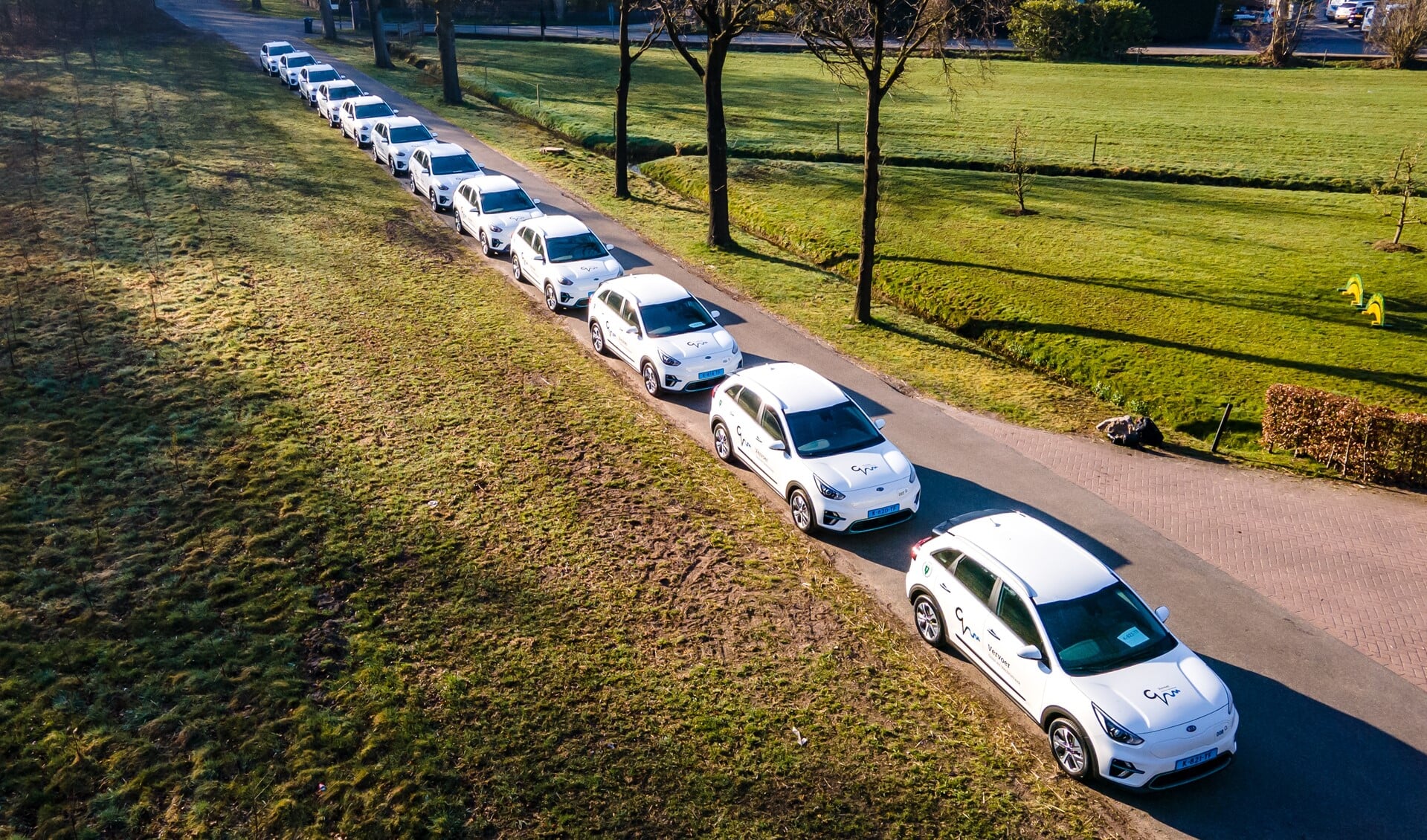 Een lange rij elektrische auto's voor het doelgroepenvervoer in de regio.