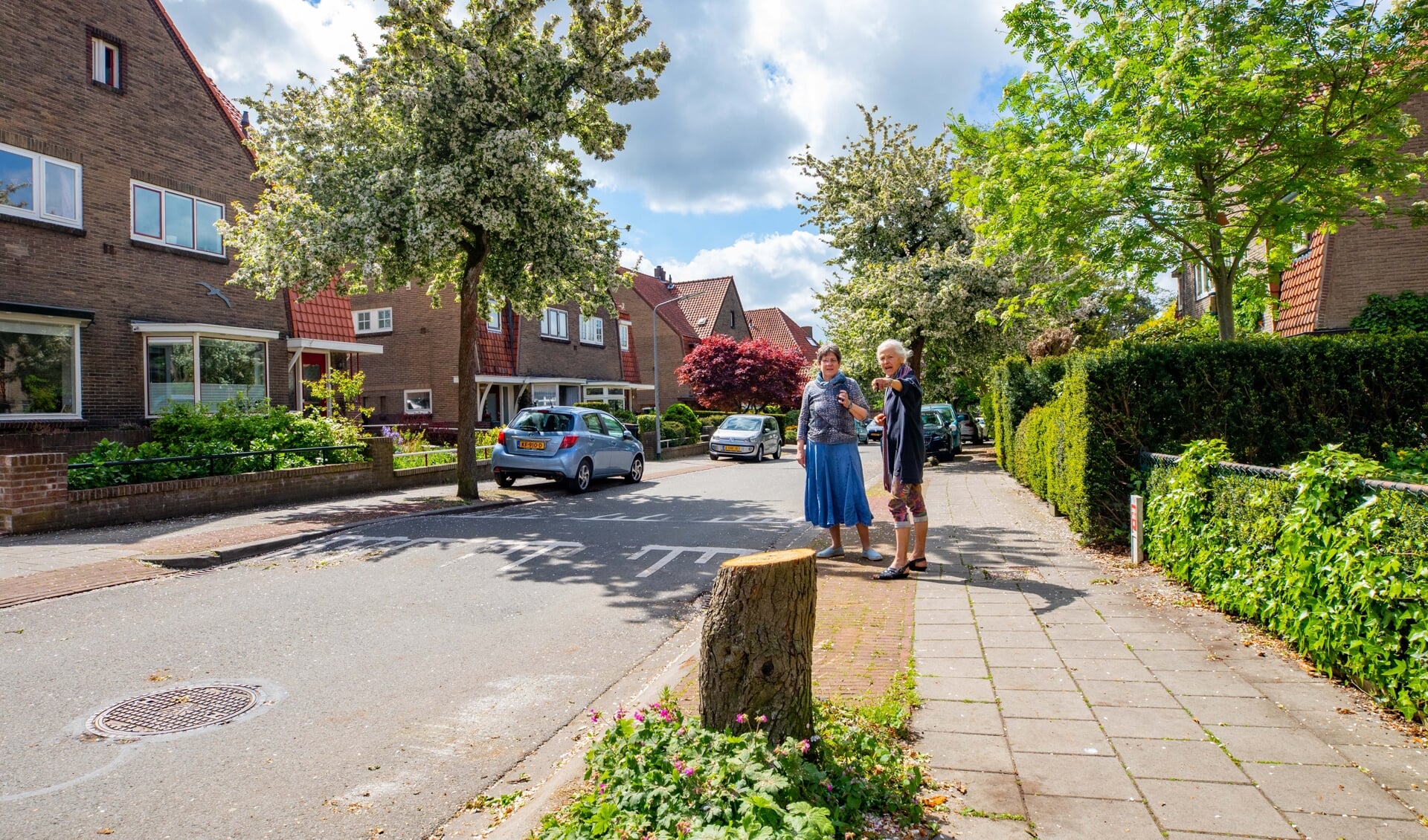 Gisteren is de bloesemboom gekapt tot verdriet van veel bewoners van de Staringlaan. 