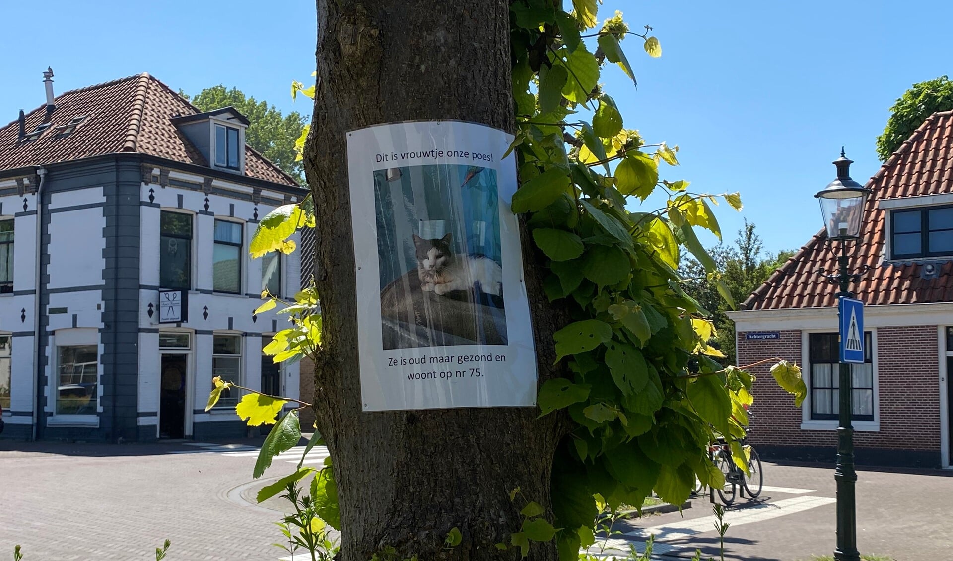 Op de boom tegenover de winkel in Weesp hangt een poster over de oude kat.