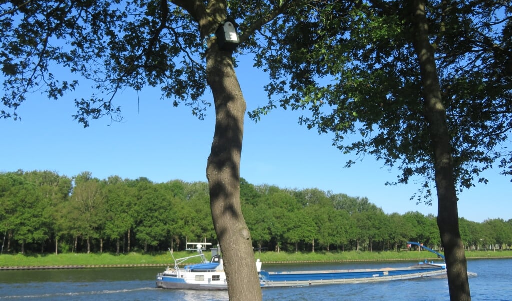 In de bomen langs het Amsterdam-Rijnkanaal worden nestkastjes geplaatst.