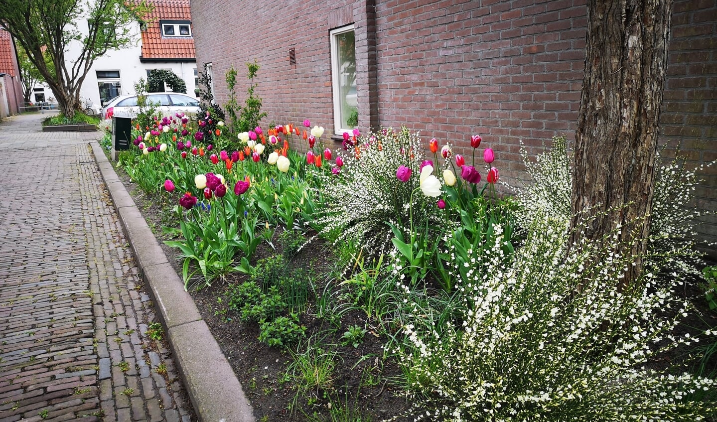 Afbeelding
