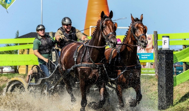 <p>De hindernis met de waterbak zorgt altijd voor een groots spektakel.</p>