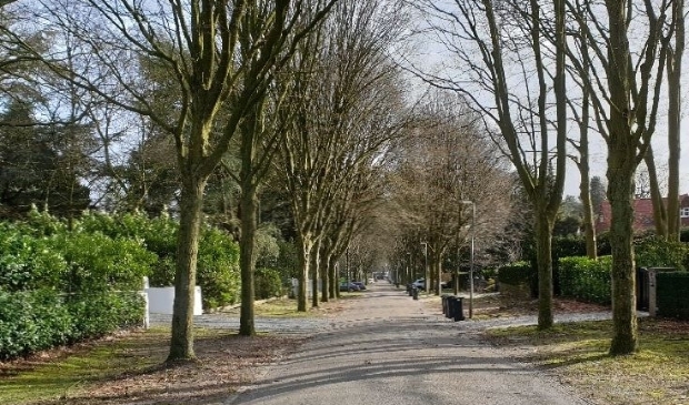 De Hertenkamp is een mogelijke plek voor een waterberging.
