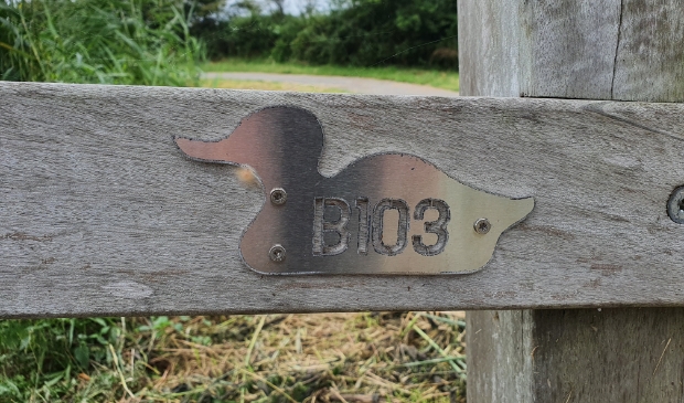<p>Een brug met een eendje met het nummer.</p>