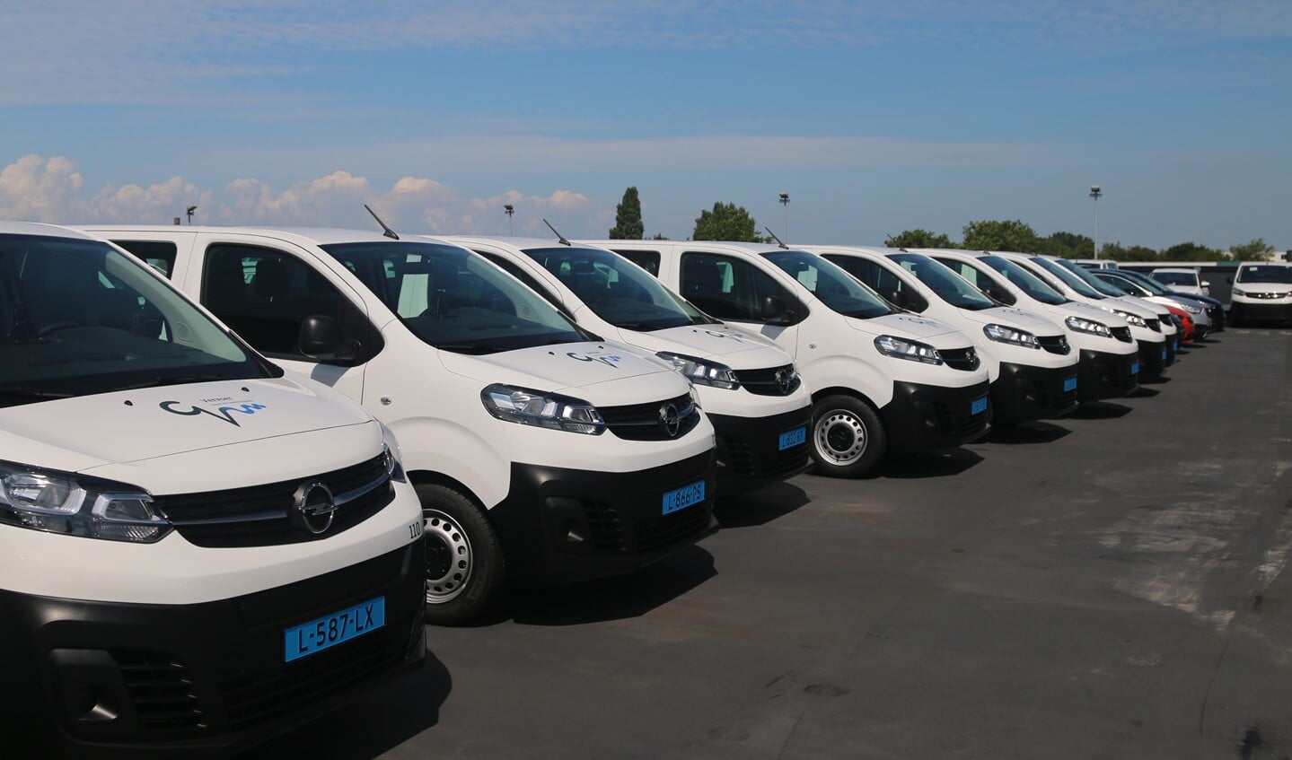 Een aantal van de elektrische busjes op een rijtje.