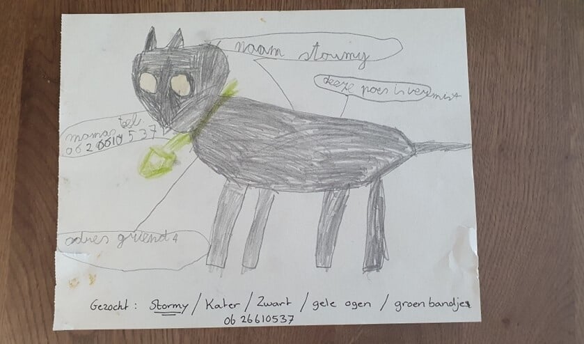 <p>Owen maakte een tekening om katertje Stormy op te sporen.</p>