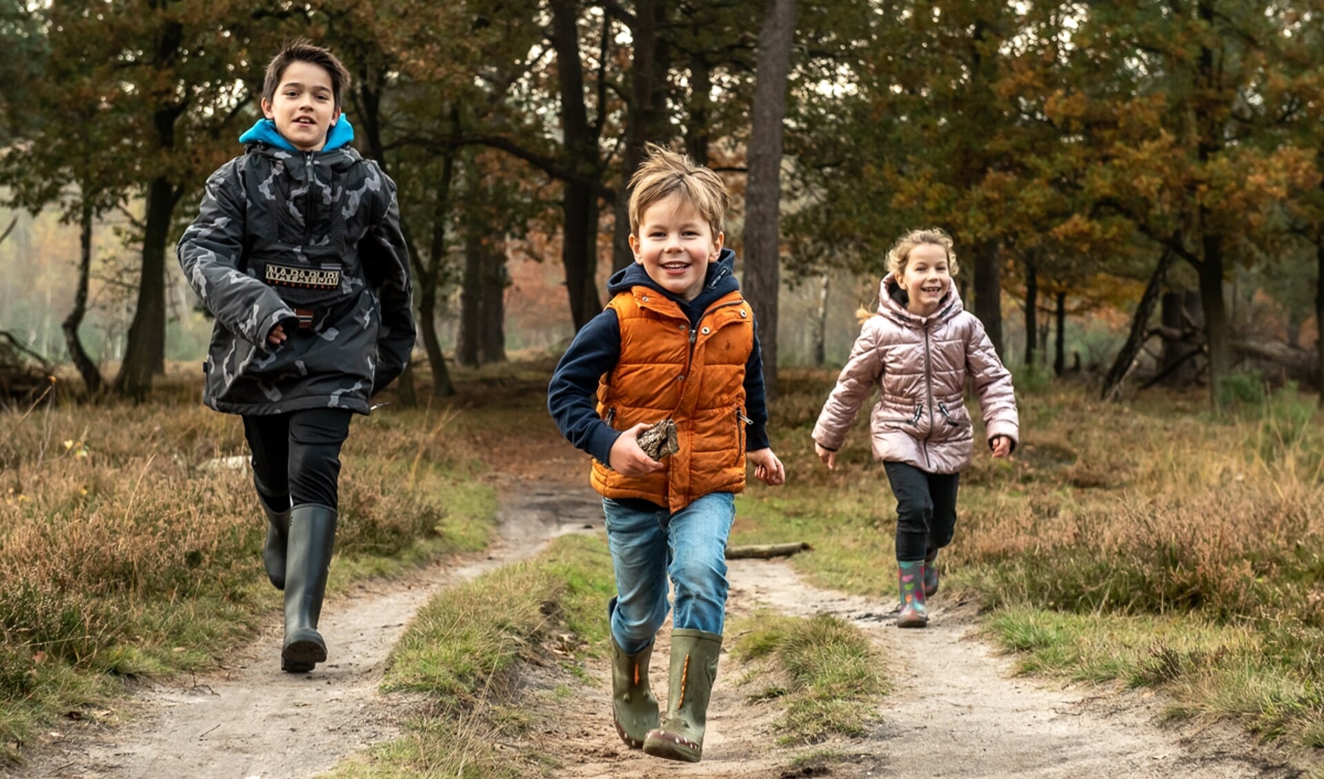 Meer dan 200.000 inwoners in het Gooi hebben vele hectares natuur als ‘achtertuin’ dankzij GNR. 