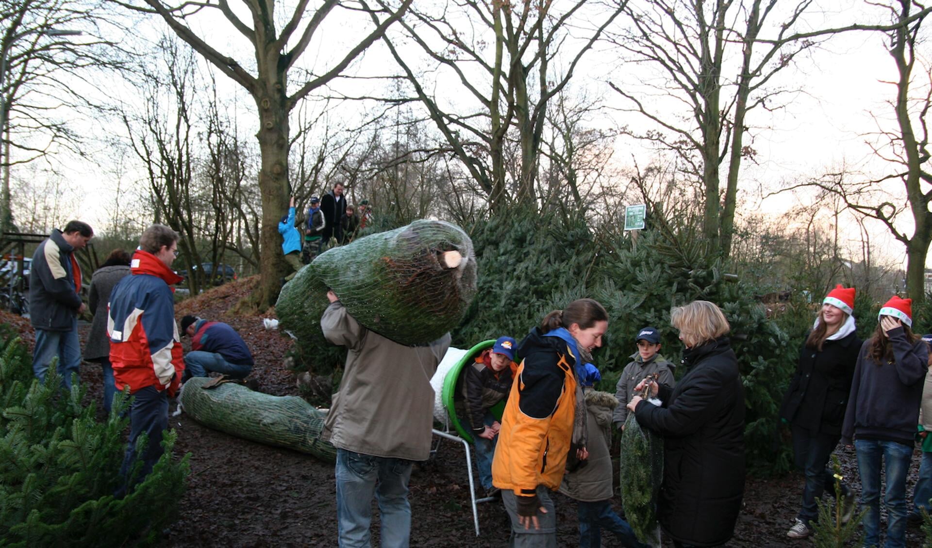Ook dit jaar verkoopt Scouting Erica weer kerstbomen bij haar clubhuis aan het einde van de Verlengde Fortlaan in Naarden. 