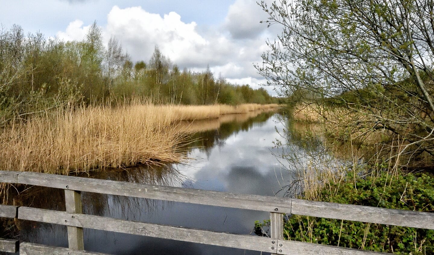 Diemerbos, extrafoto, mooi uitzicht, bruggetje bij banjerbossie,