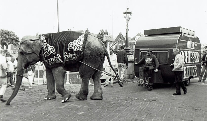 De olifant en de caravan.