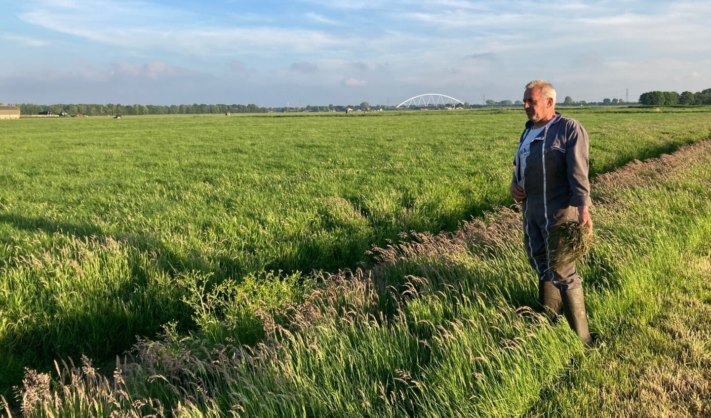 Melkveehouder Frans Jan ter Beek op zijn land in de Noordpolder.