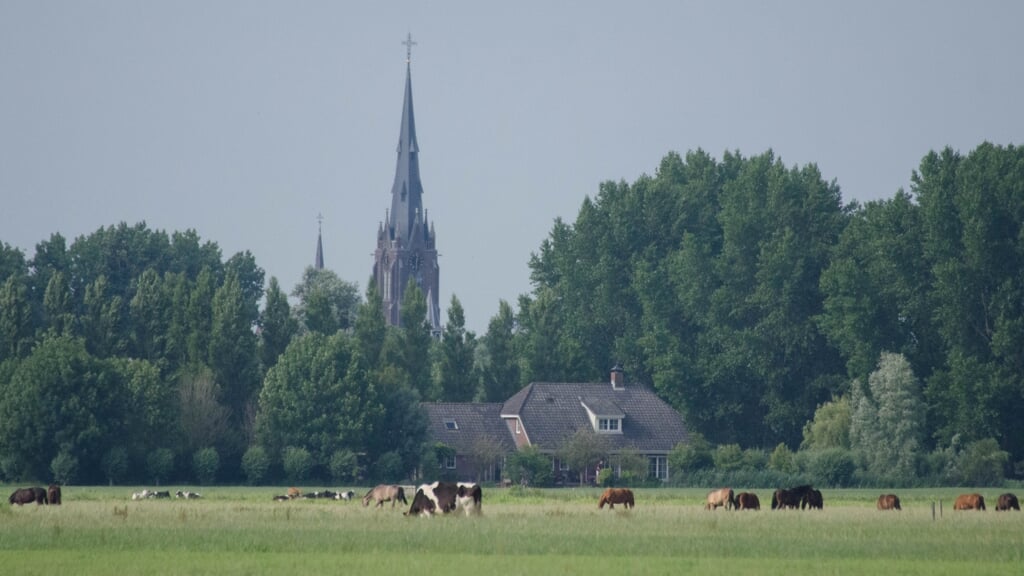Weesp kent een groot landelijk gebied met voornamelijk een agrarische (veeteelt) functie.