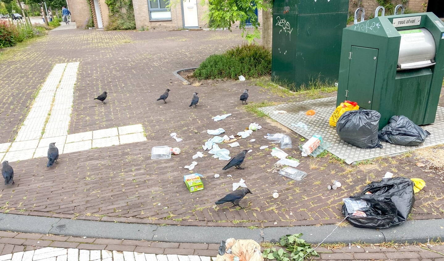 Ook de ondergrondse containers bij het station zijn overvol en trekken vogels en ongedierte aan.