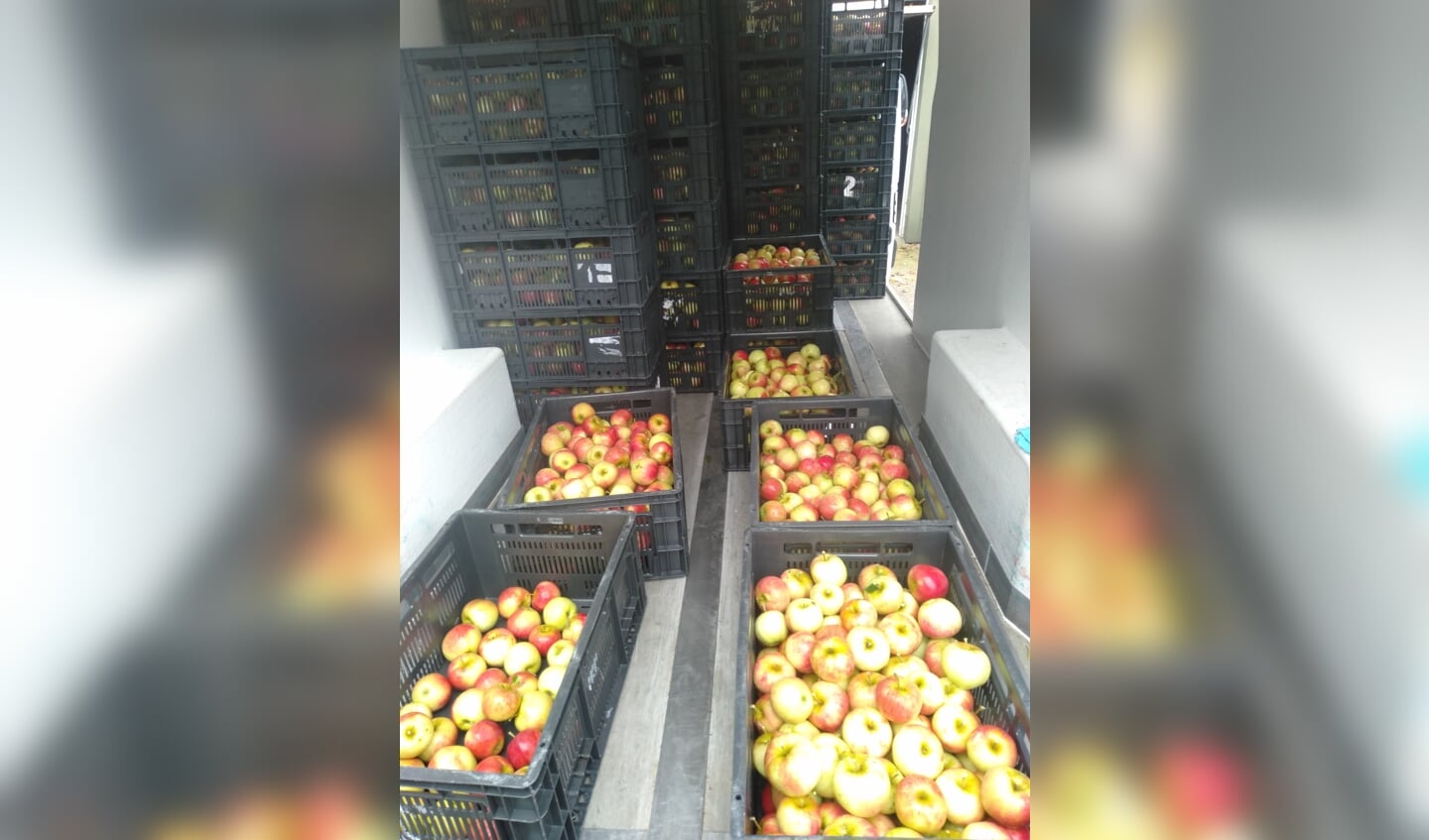 Appels voor de voedselbanken