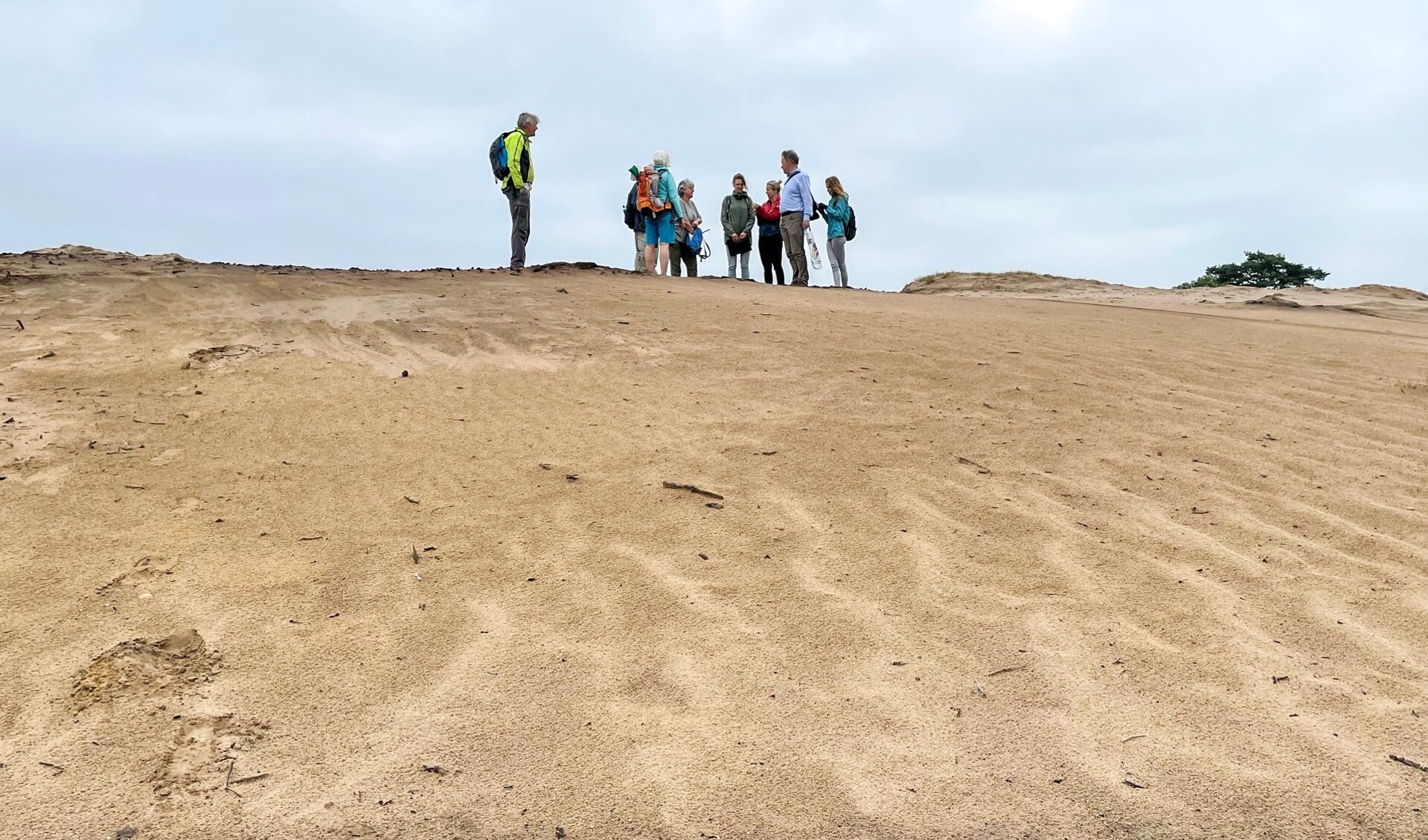 Praktijkles natuurgidsen op het zand bij 't Bluk.